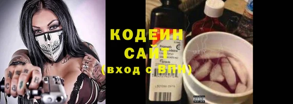 молекула духа Гусь-Хрустальный